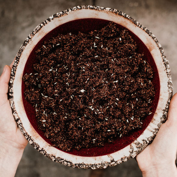 Bowl of rooibos chai